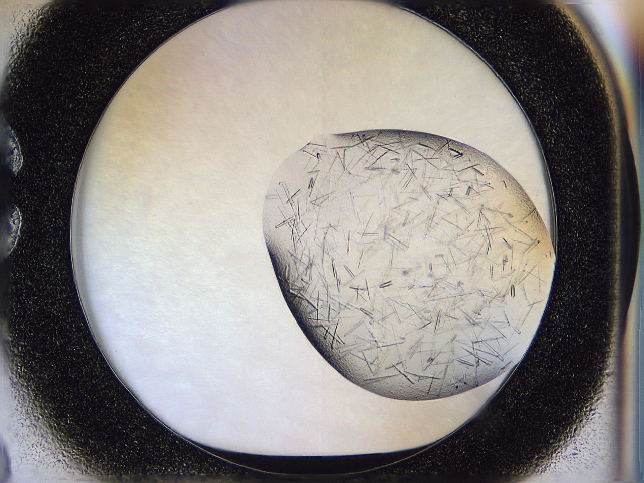 054v_C3_ImagerDefaults_9.jpg