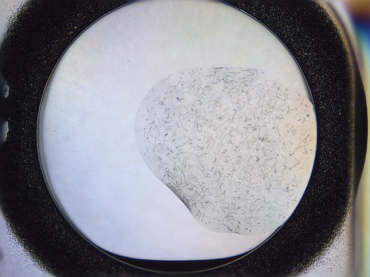054v_C5_ImagerDefaults_6.jpg