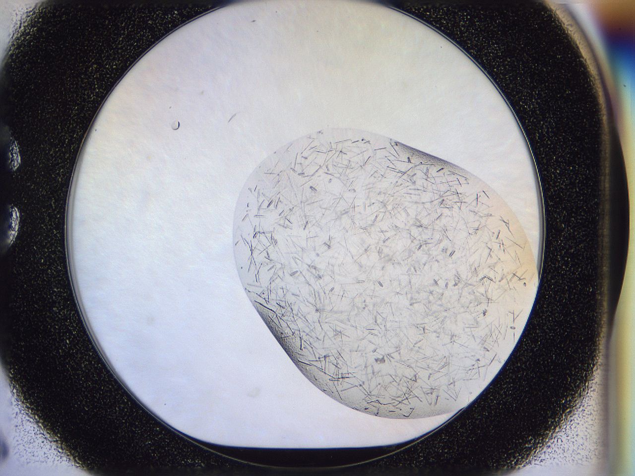 054v_C6_ImagerDefaults_6.jpg