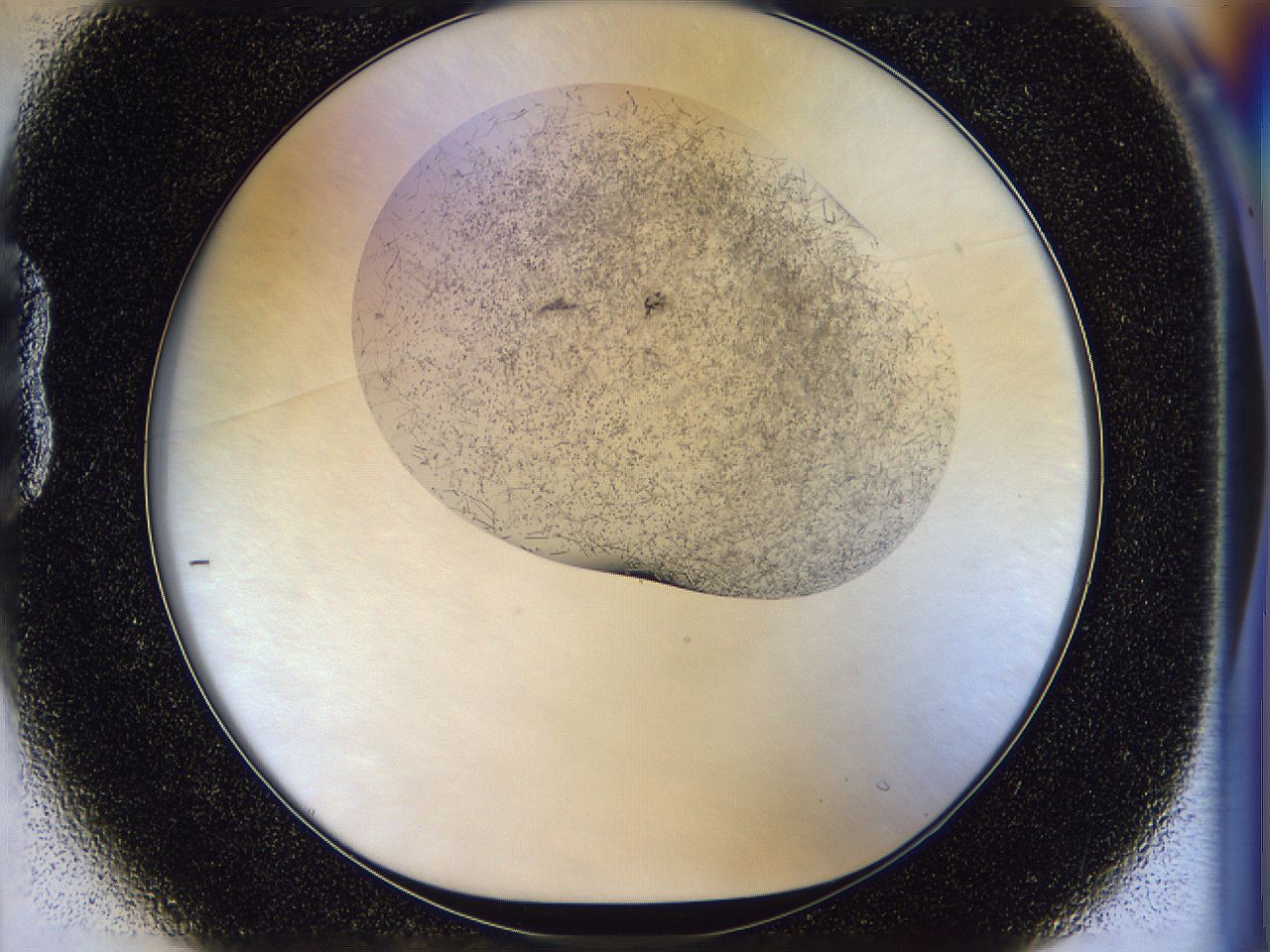 054w_B1_ImagerDefaults_6.jpg