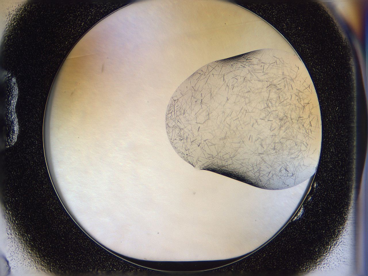 054w_B2_ImagerDefaults_7.jpg