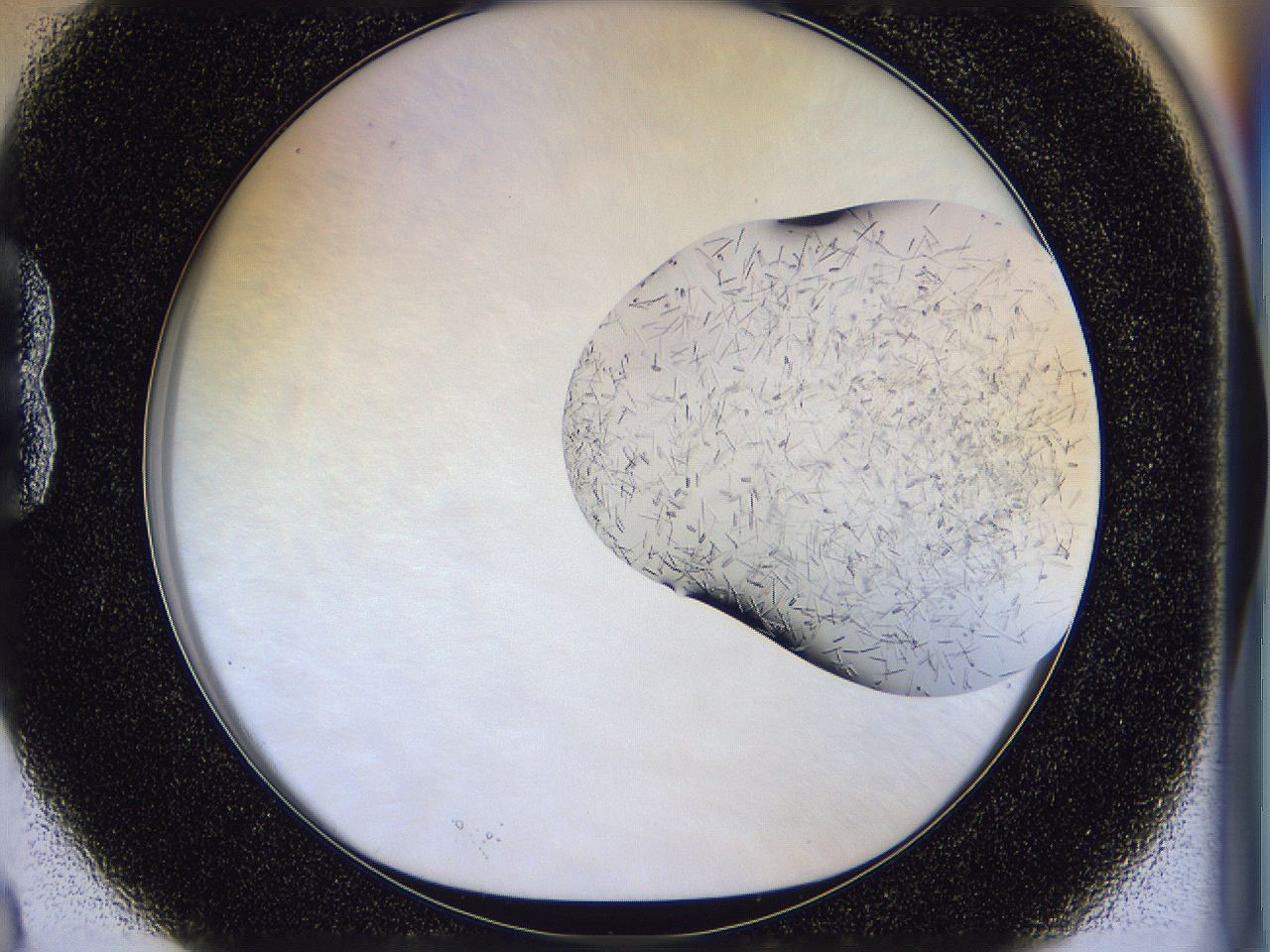 054w_B3_ImagerDefaults_7.jpg