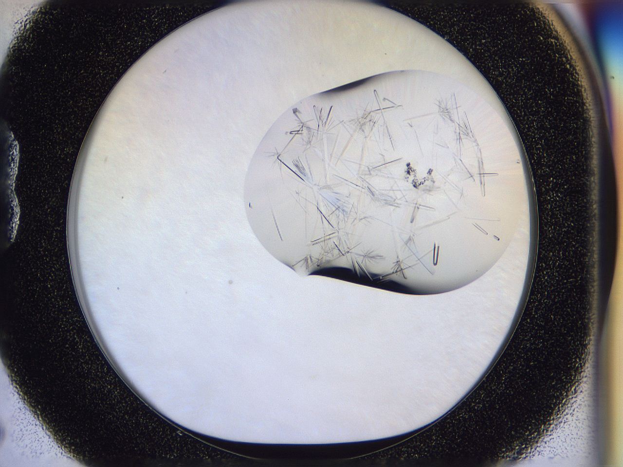 054w_B5_ImagerDefaults_9.jpg