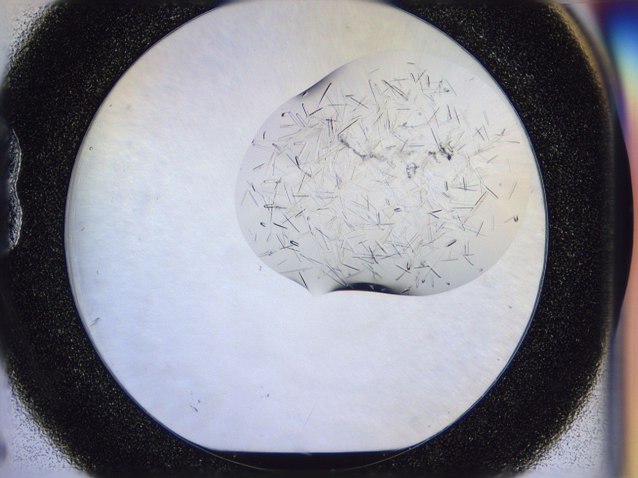 054w_B6_ImagerDefaults_9.jpg