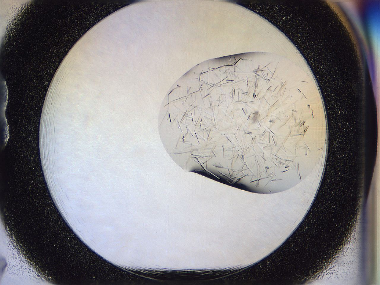 054w_B7_ImagerDefaults_9.jpg