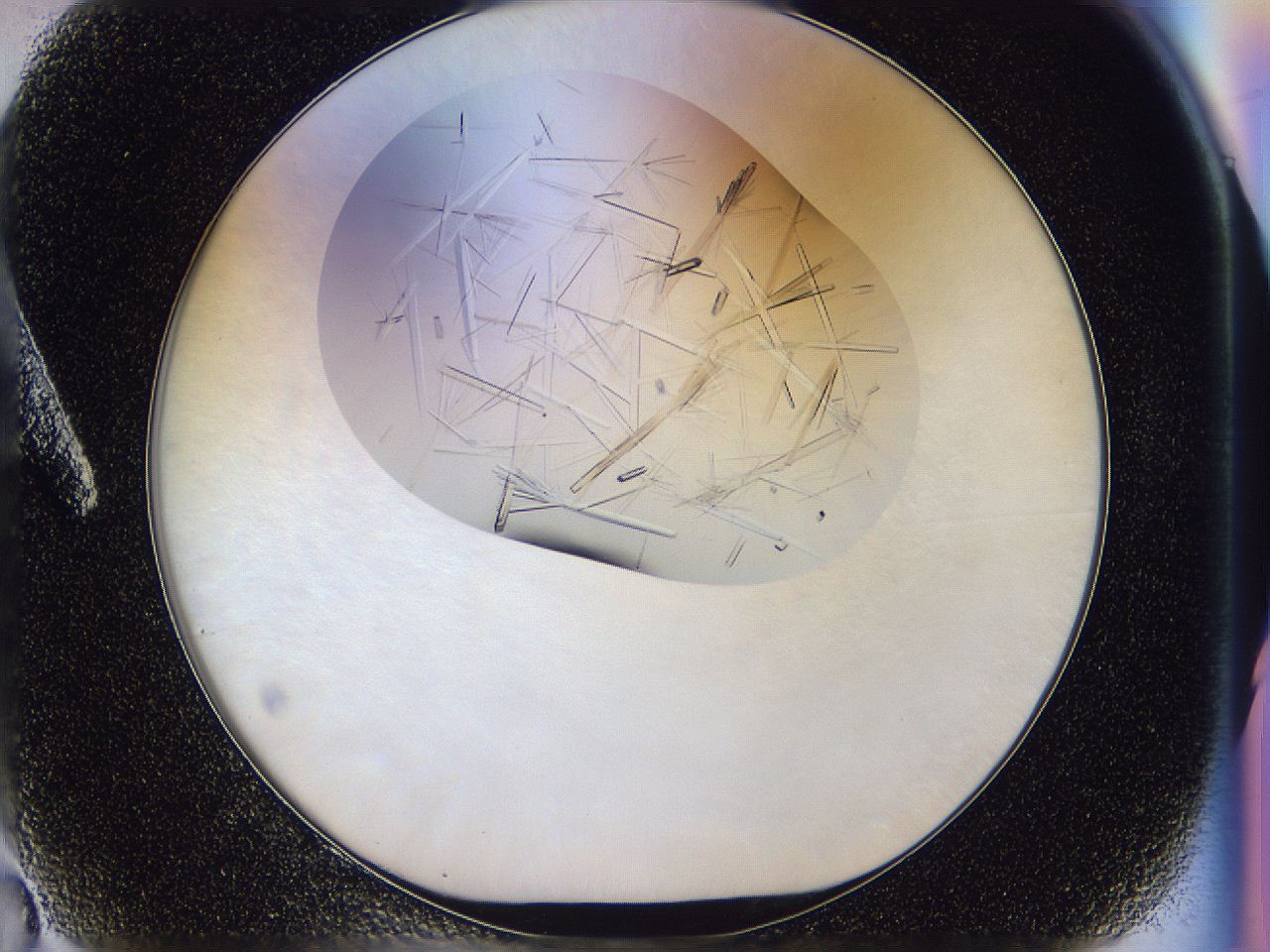 054w_A2_ImagerDefaults_9.jpg