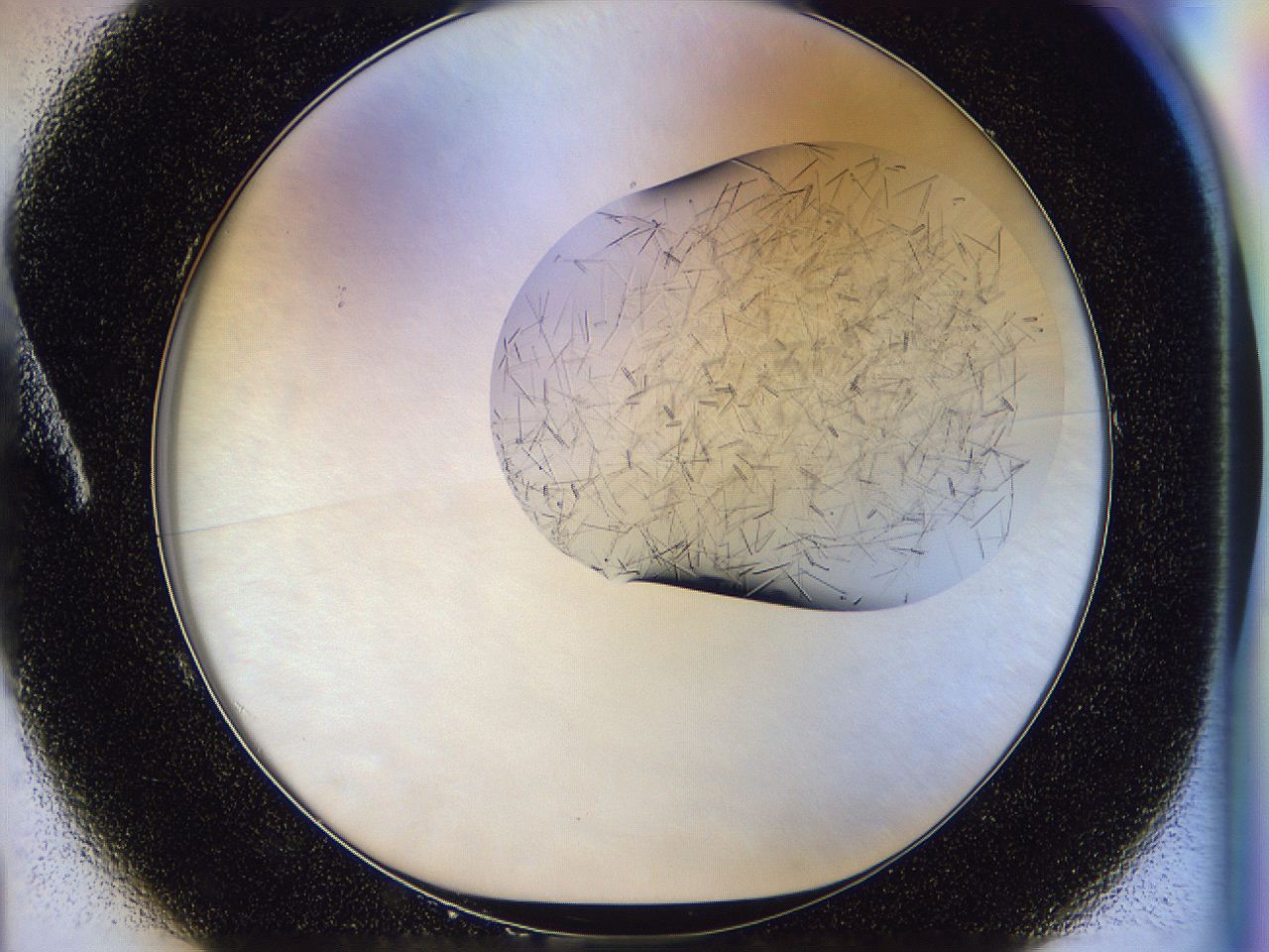 054w_A1_ImagerDefaults_8.jpg