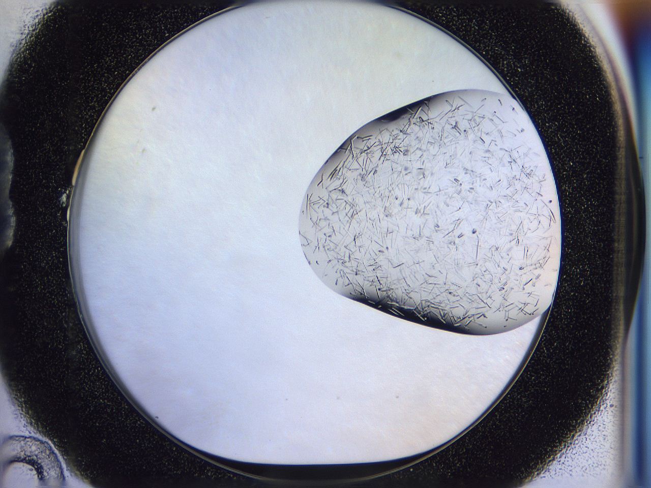054w_B10_ImagerDefaults_7.jpg