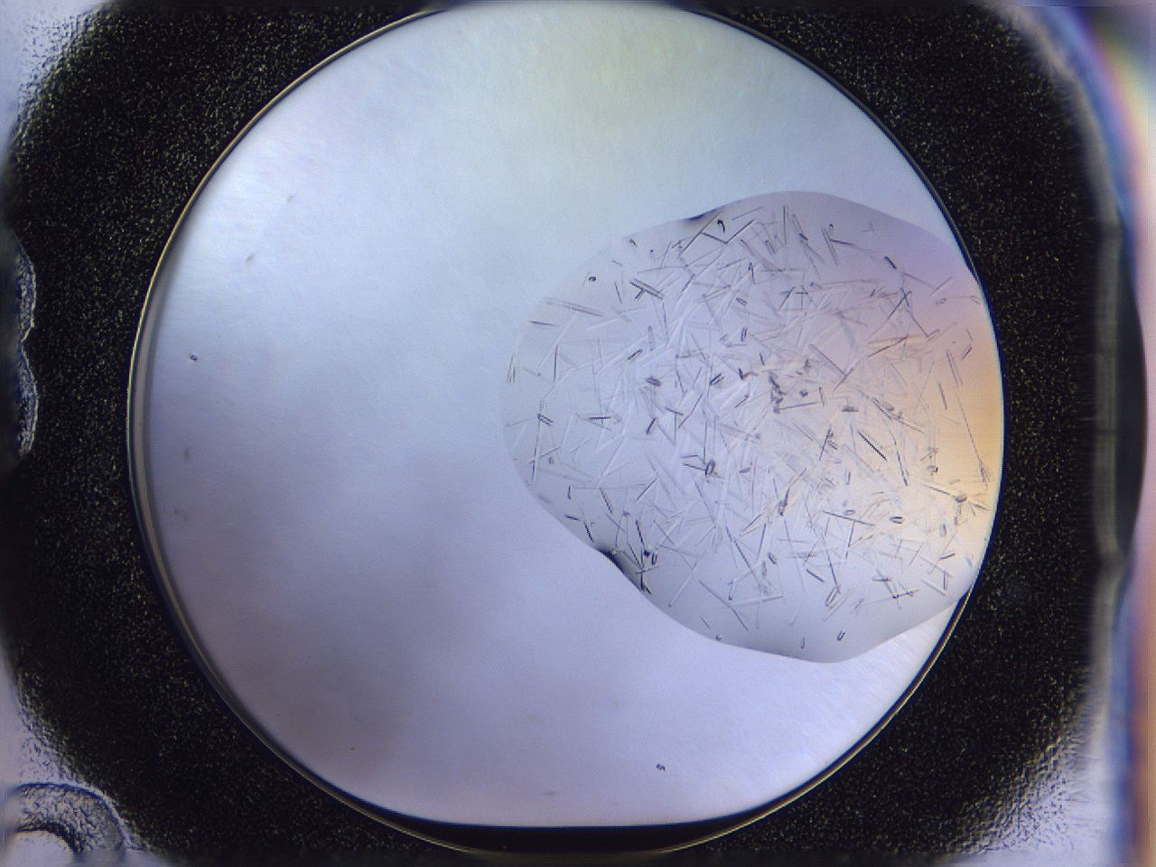 054w_B12_ImagerDefaults_8.jpg