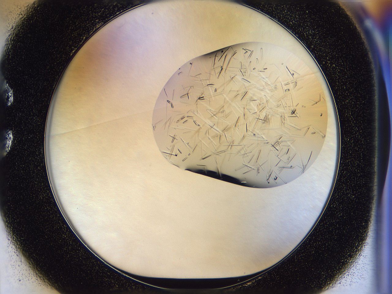 054w_C1_ImagerDefaults_9.jpg
