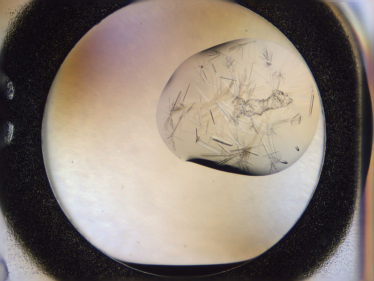 054w_C2_ImagerDefaults_9.jpg