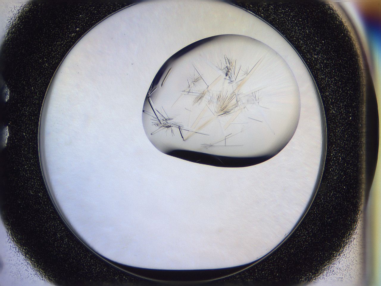 054w_C5_ImagerDefaults_9.jpg
