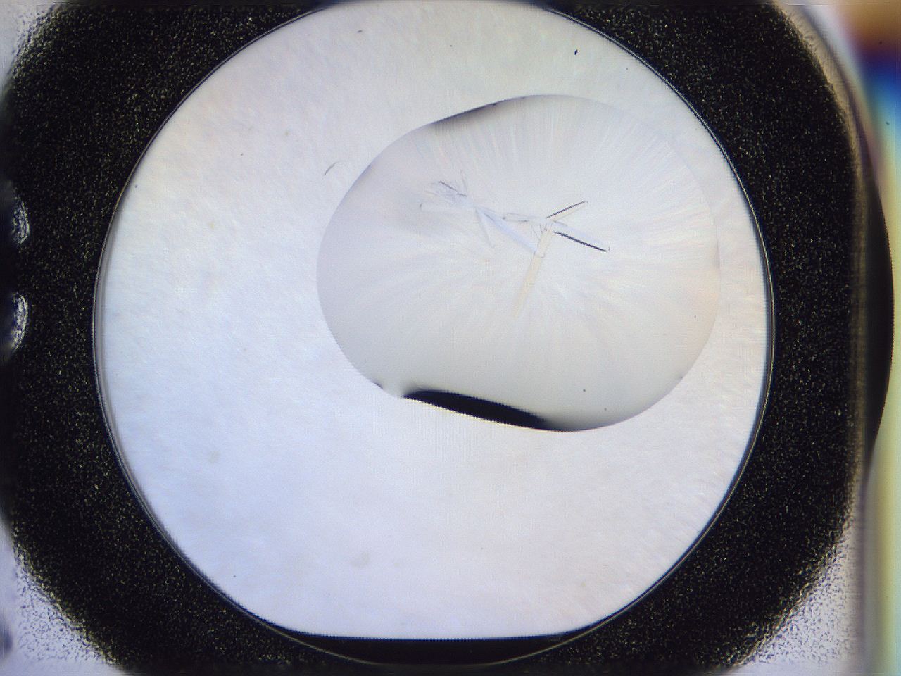 054w_C6_ImagerDefaults_9.jpg