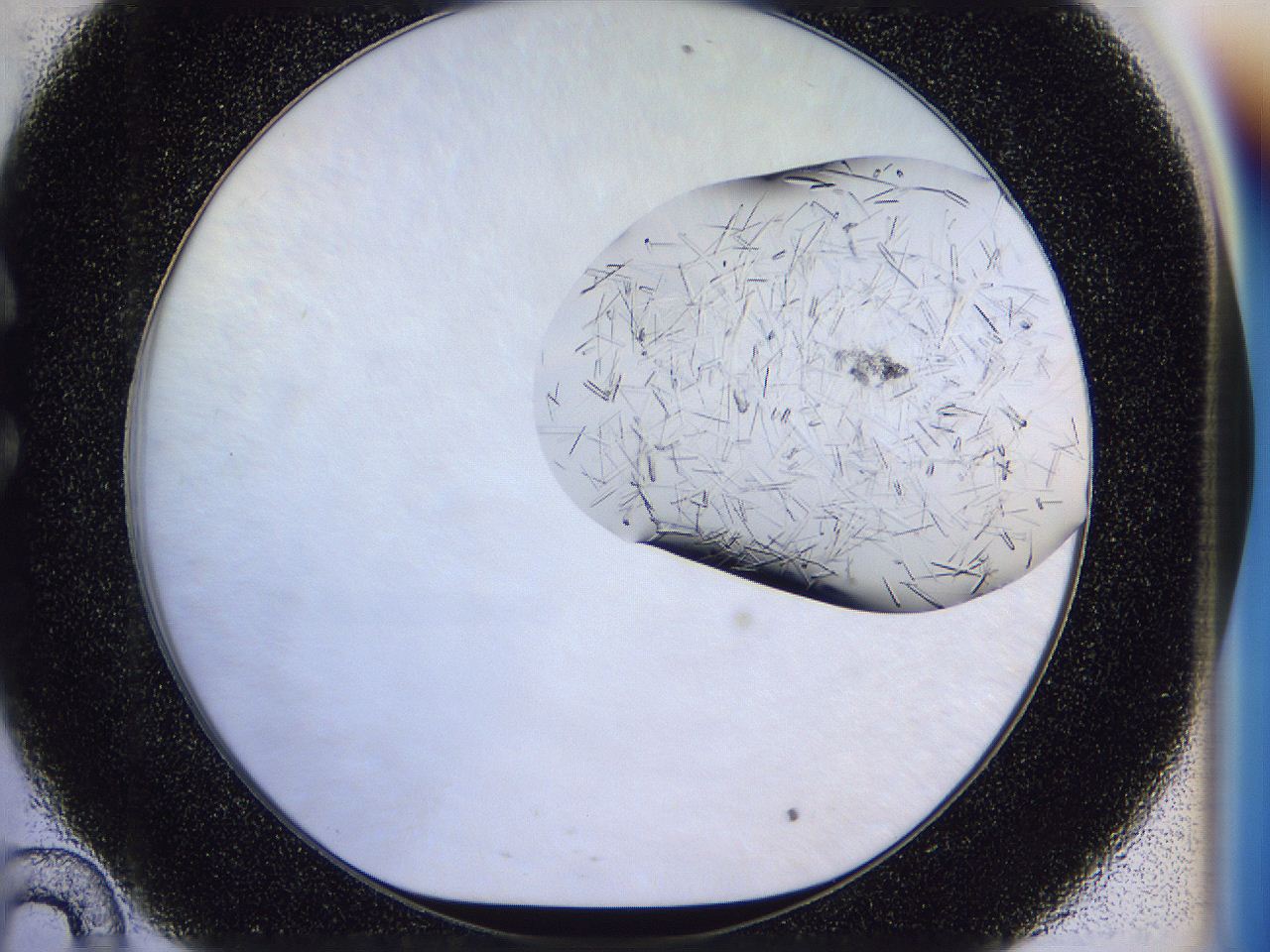 054w_C10_ImagerDefaults_8.jpg