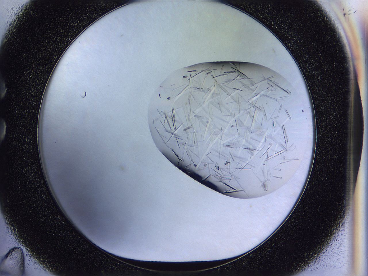 054w_C11_ImagerDefaults_9.jpg