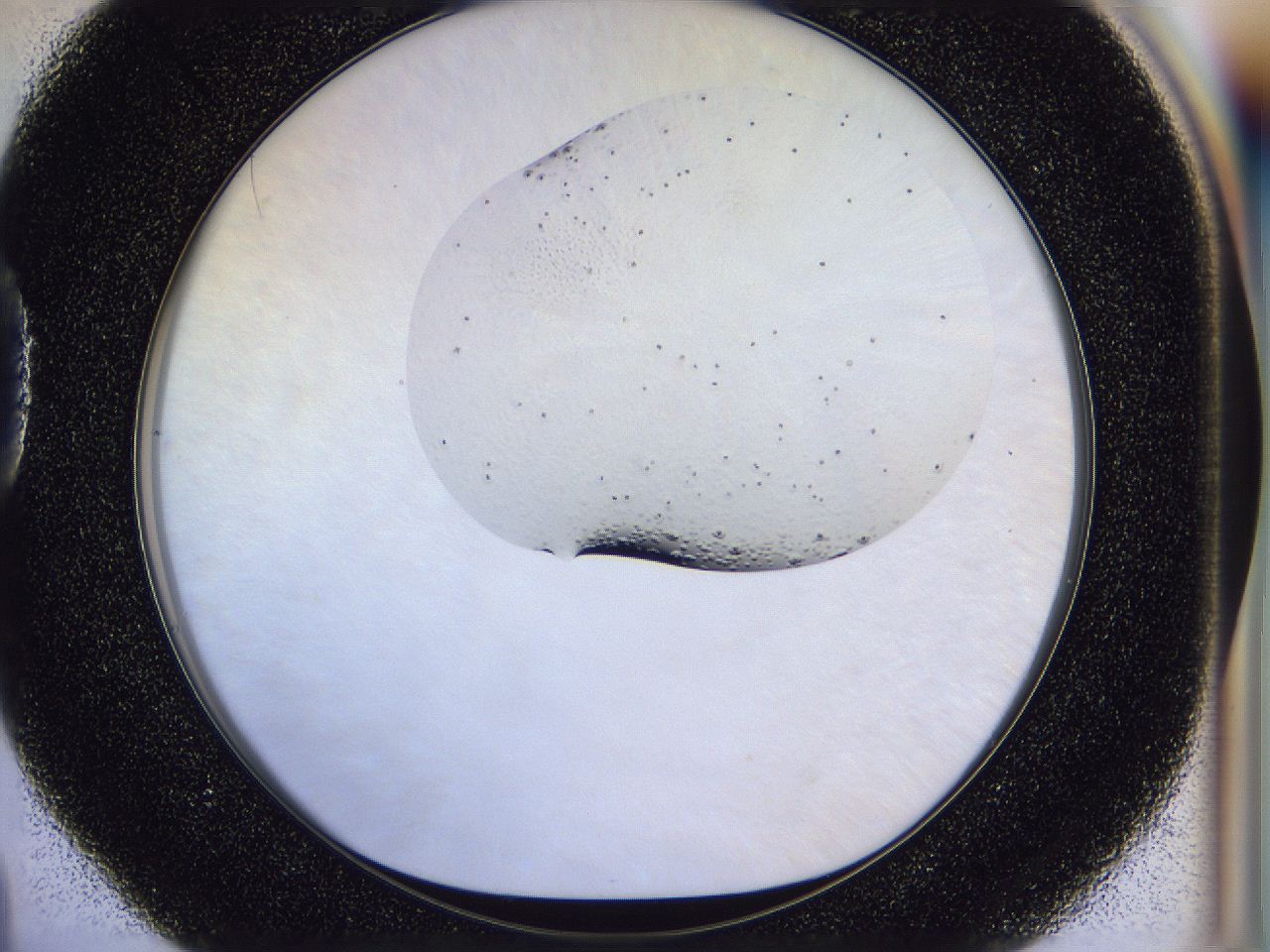 054w_D4_ImagerDefaults_8.jpg