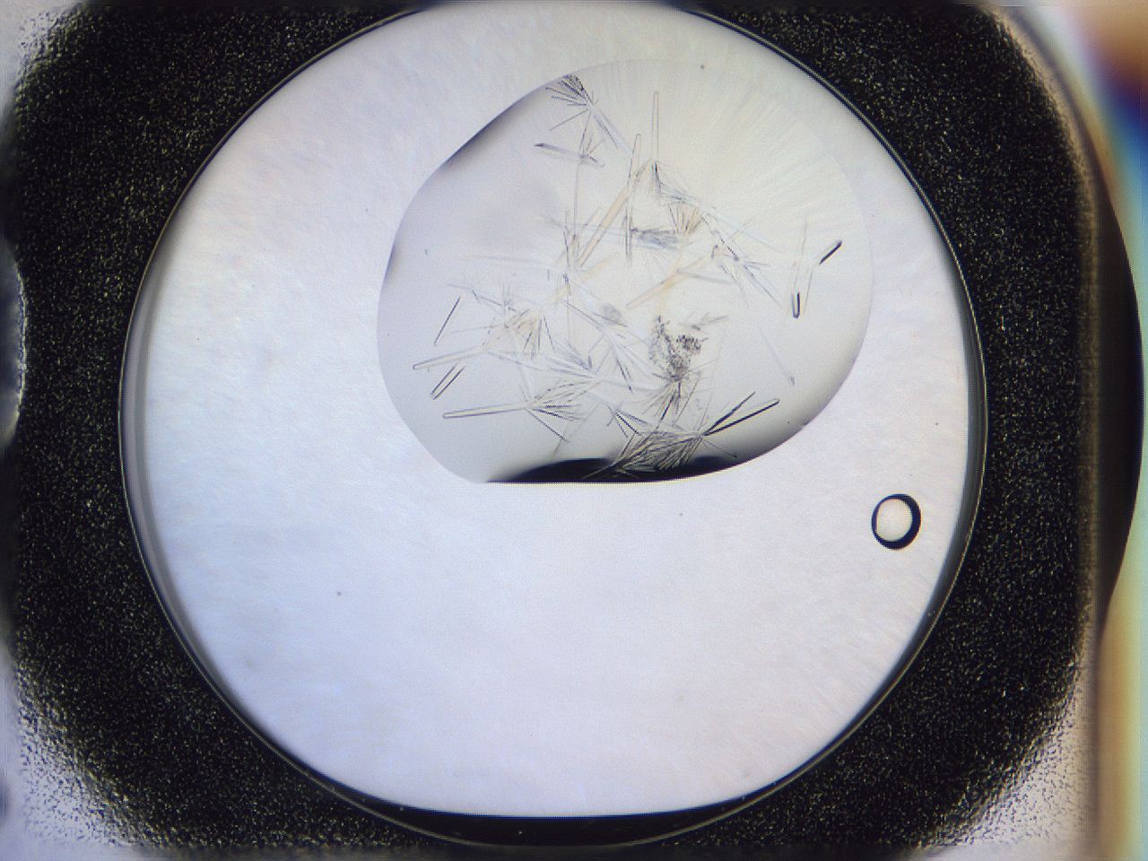 054w_D5_ImagerDefaults_9.jpg