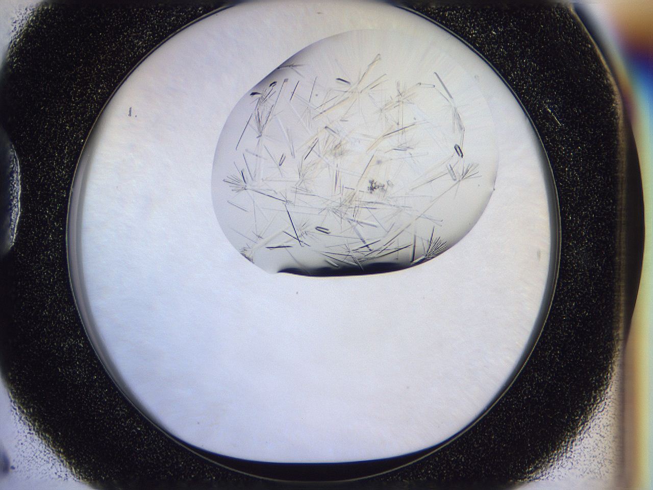 054w_D6_ImagerDefaults_9.jpg
