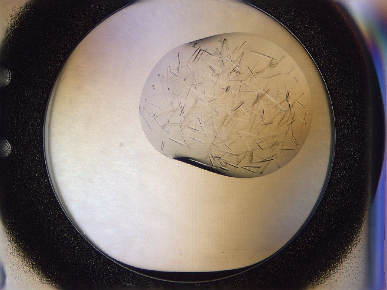 054w_E3_ImagerDefaults_9.jpg