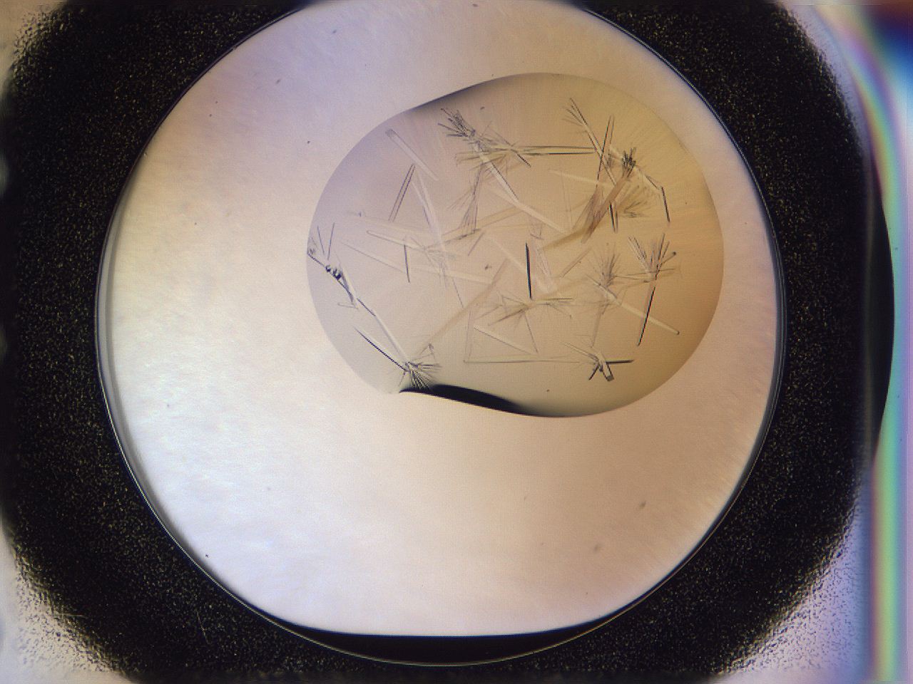 054w_E7_ImagerDefaults_9.jpg
