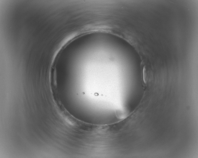 X0000054330148200508111928.png