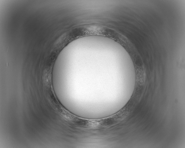 X0000054330701200508111919.png
