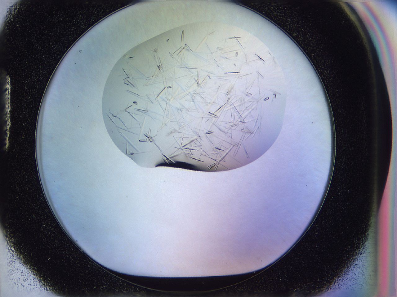 054w_H4_ImagerDefaults_9.jpg