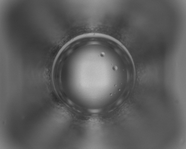 X0000054970270200509051512.png