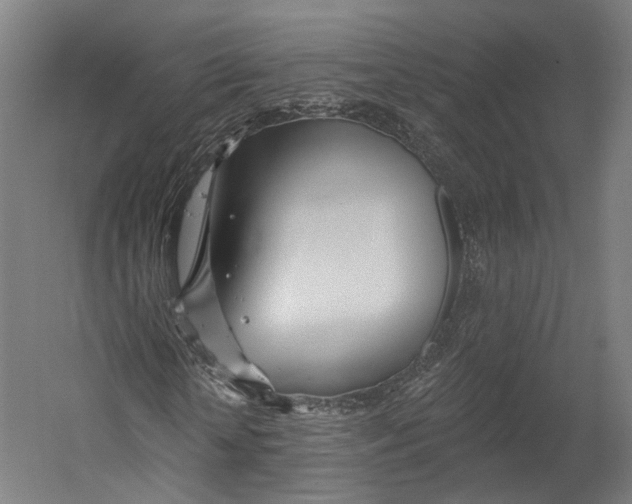 X0000055210818200508301319.png