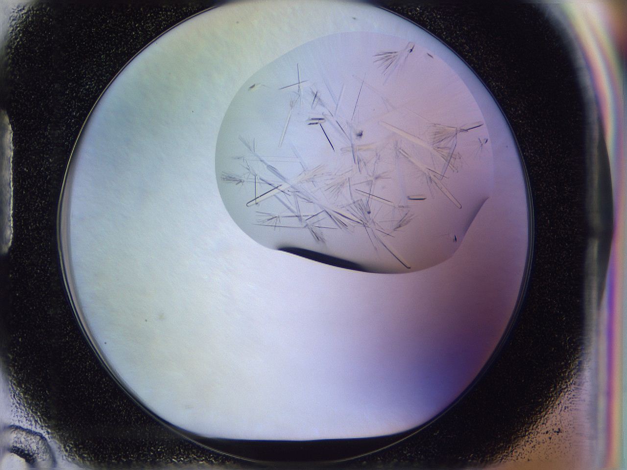 054w_H10_ImagerDefaults_9.jpg