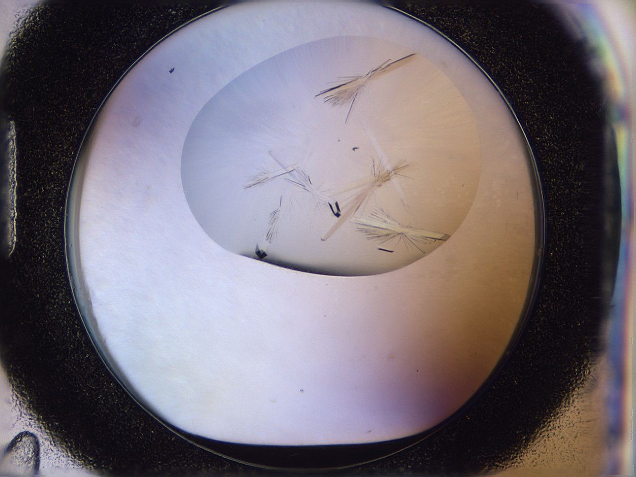054w_H11_ImagerDefaults_9.jpg