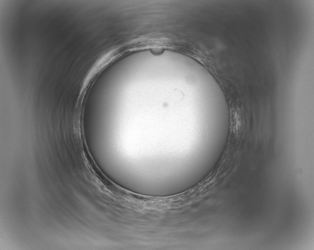 X0000055060004200508161658.png