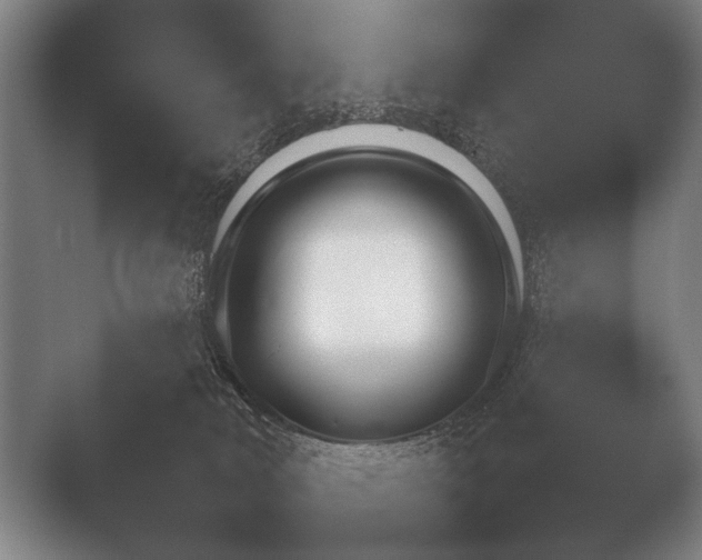 X0000051110034200507141808.png