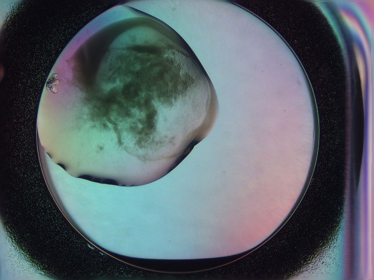 054x_F8_ImagerDefaults_8.jpg