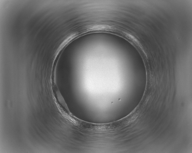 X0000055061330200508161635.png