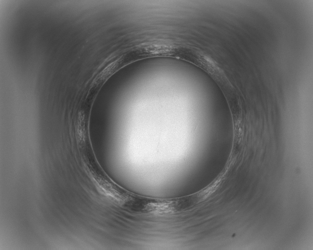 X0000055060170200508161655.png