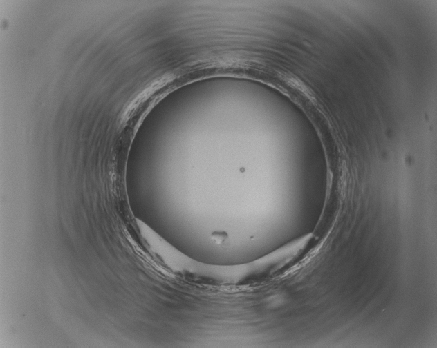 X0000054170922200508101756.png