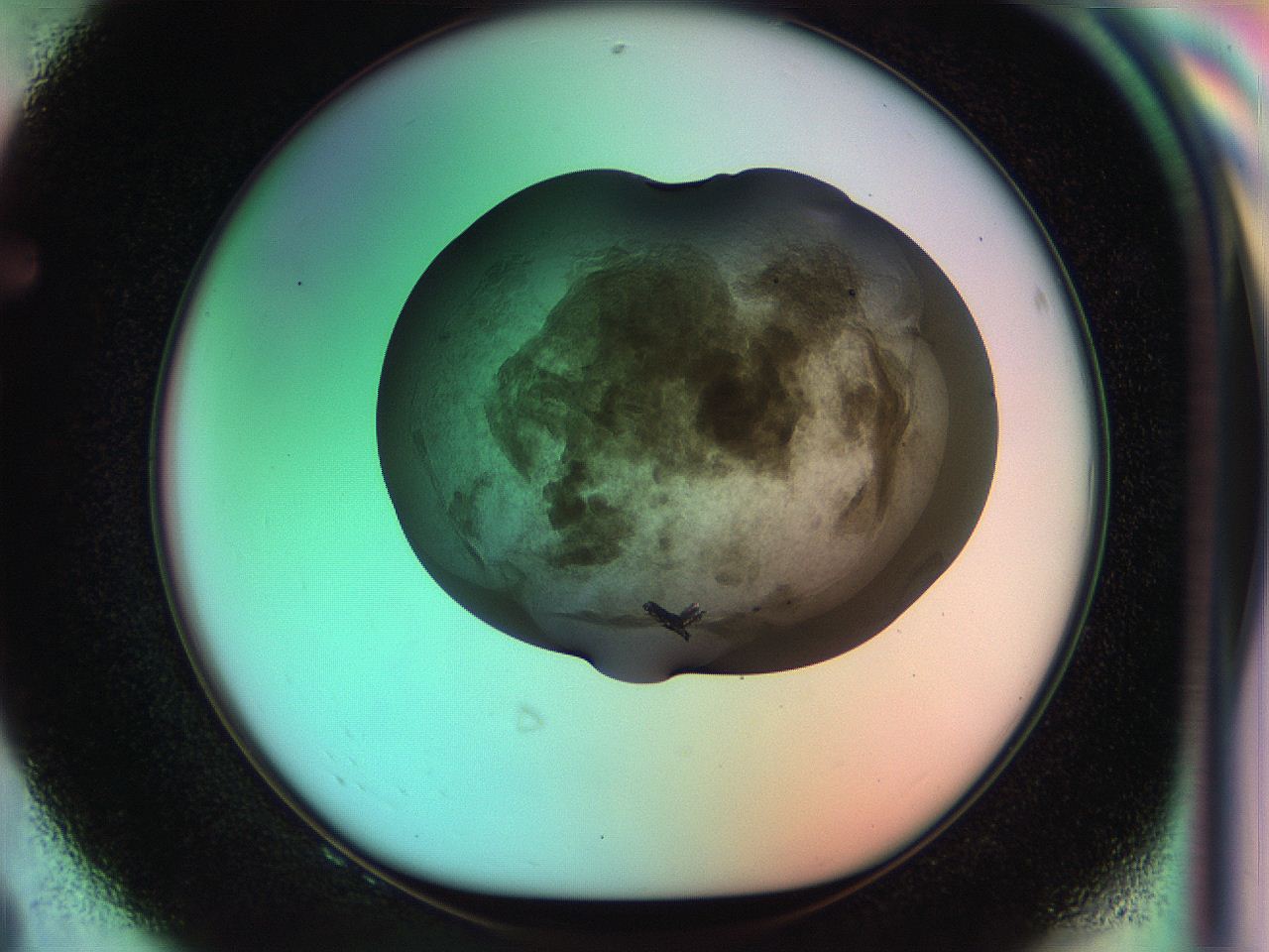 0559_F8_ImagerDefaults_9.jpg