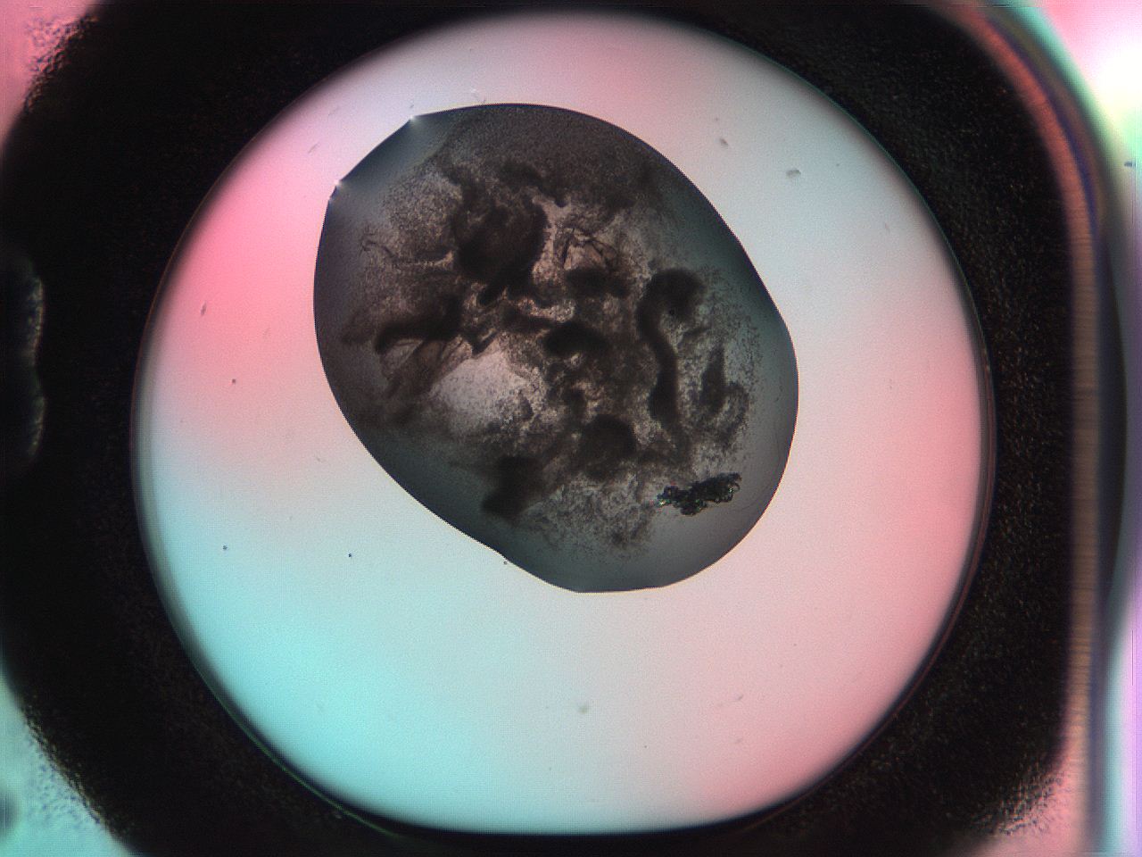0559_B5_ImagerDefaults_9.jpg
