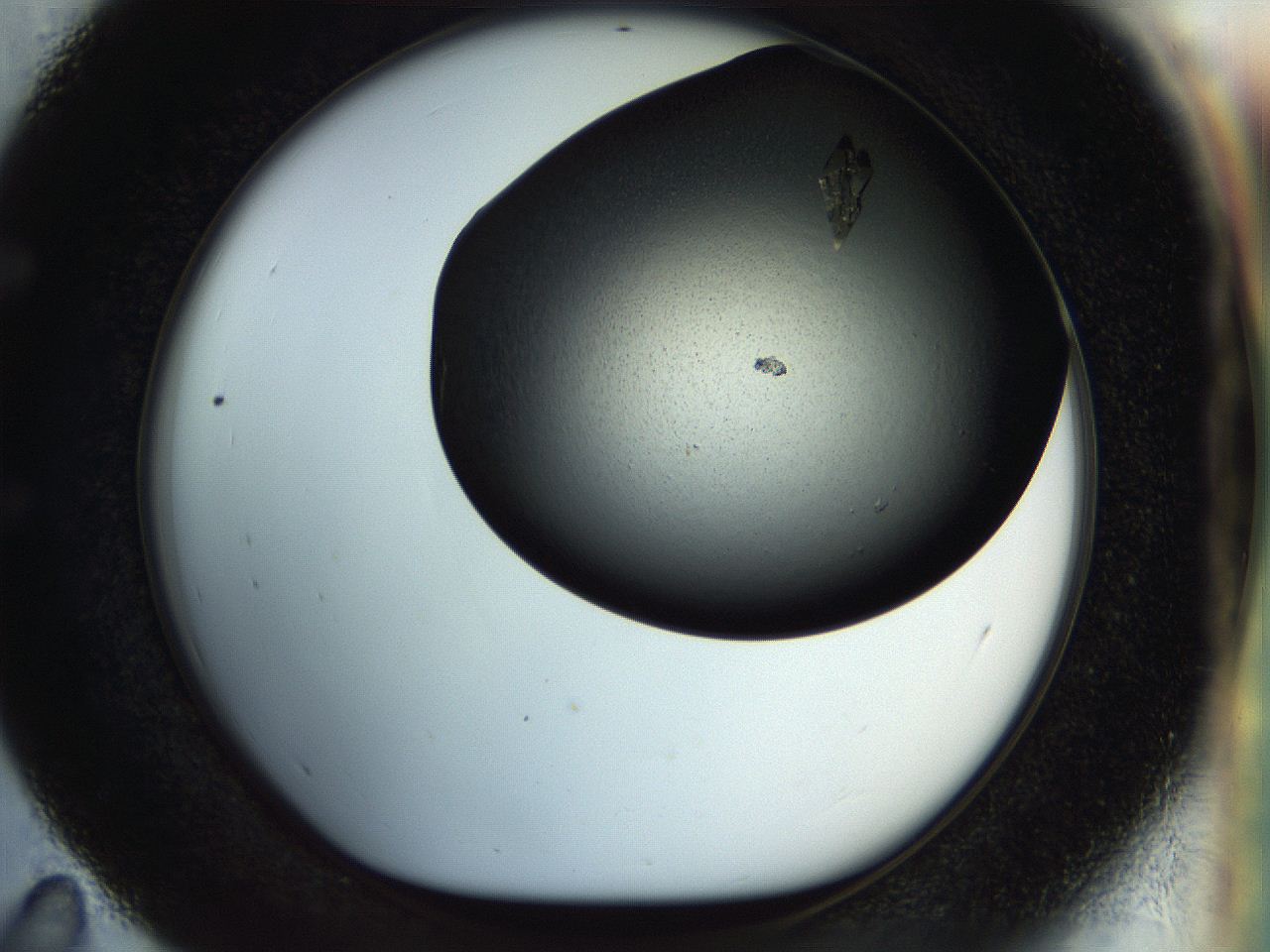 055o_E11_ImagerDefaults_8.jpg