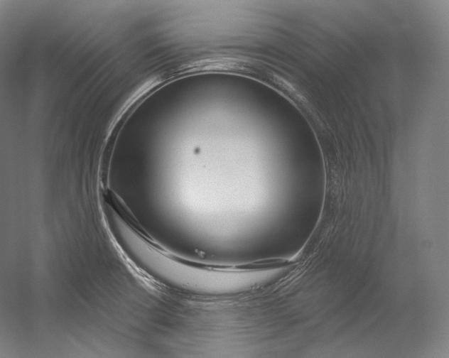 X0000055211426200508301310.png