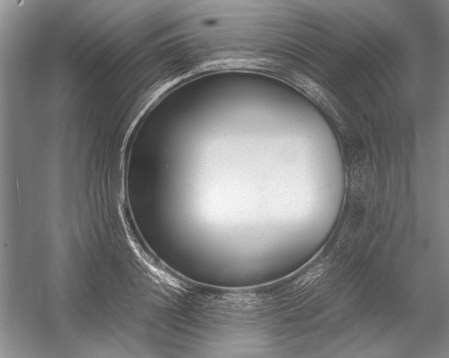 X0000055060844200508161643.png