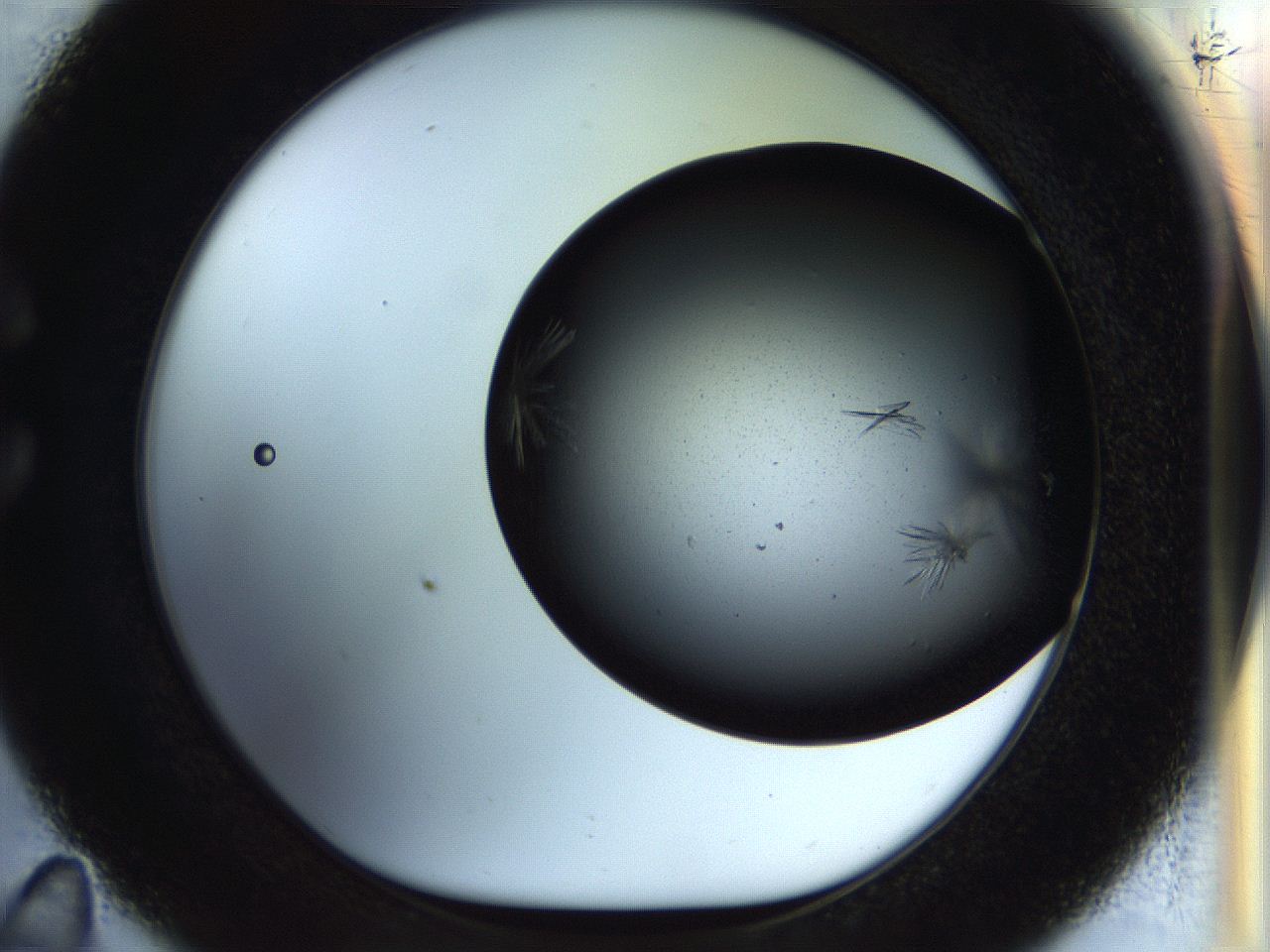 055o_C11_ImagerDefaults_7.jpg