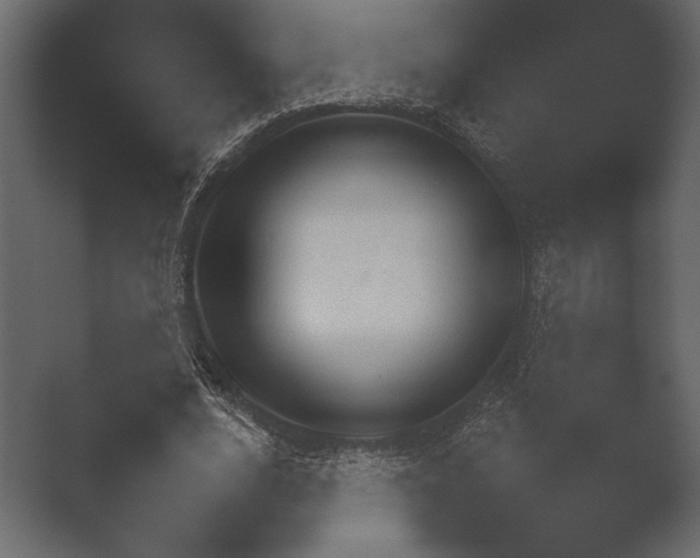 X0000052730632200507141546.png