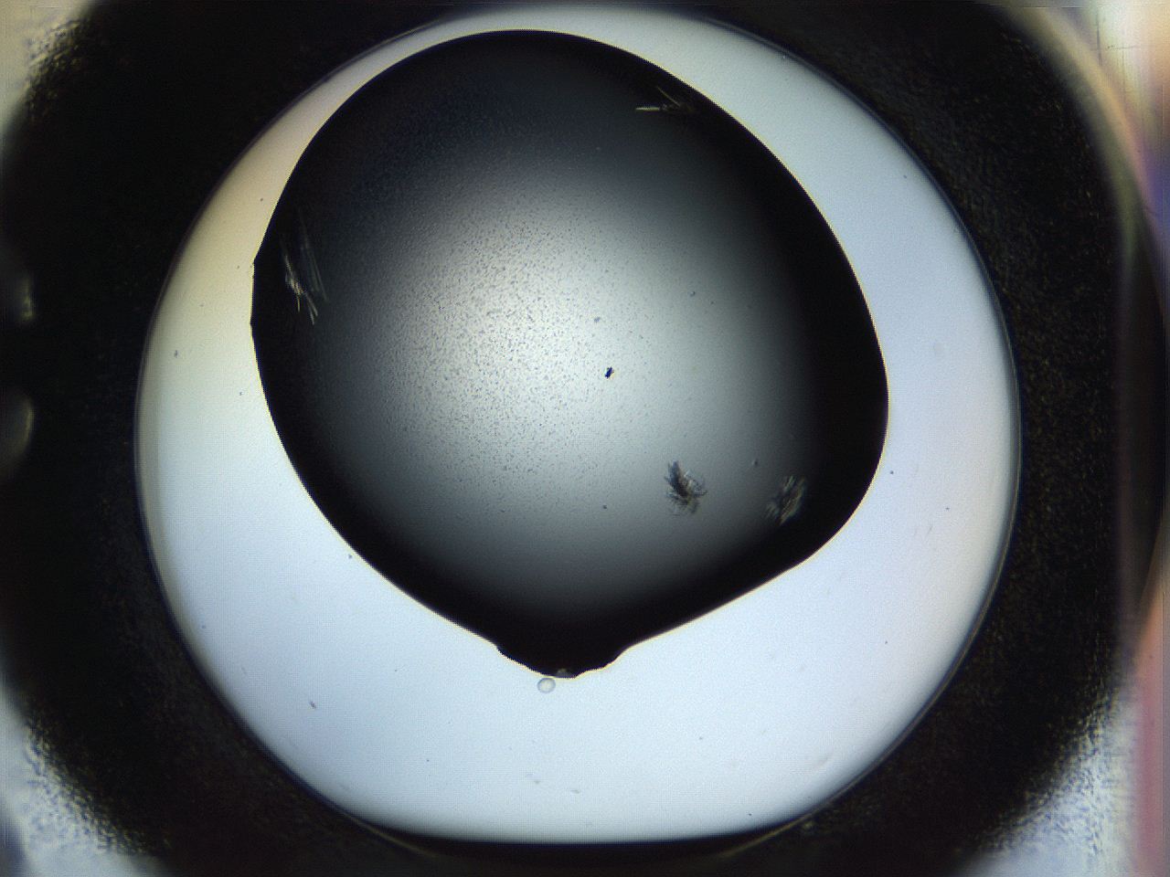 055o_C9_ImagerDefaults_7.jpg