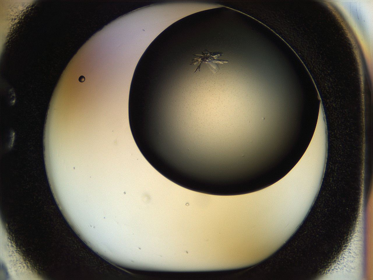 055o_C2_ImagerDefaults_8.jpg