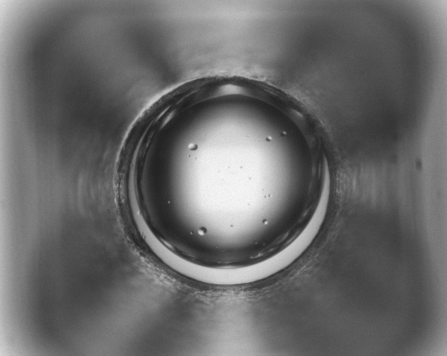 X0000045271020200502071544.png