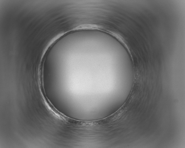 X0000055211003200508301317.png