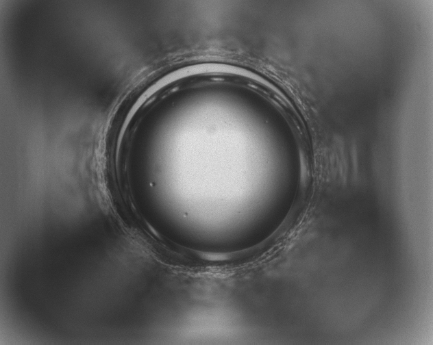 X0000045450102200502011707.png