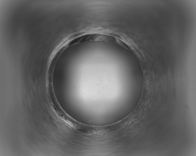X0000055210344200508301327.png